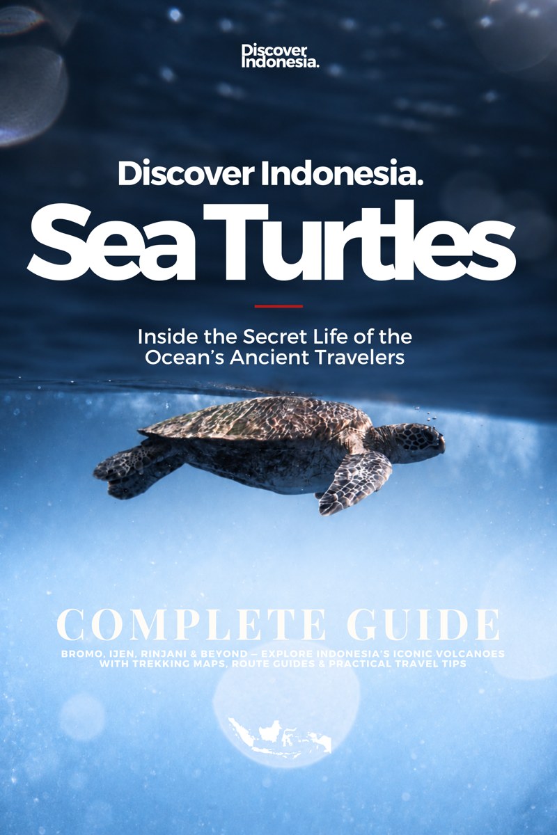 Discover Indonesia: Tortugas marinas, portada del libro