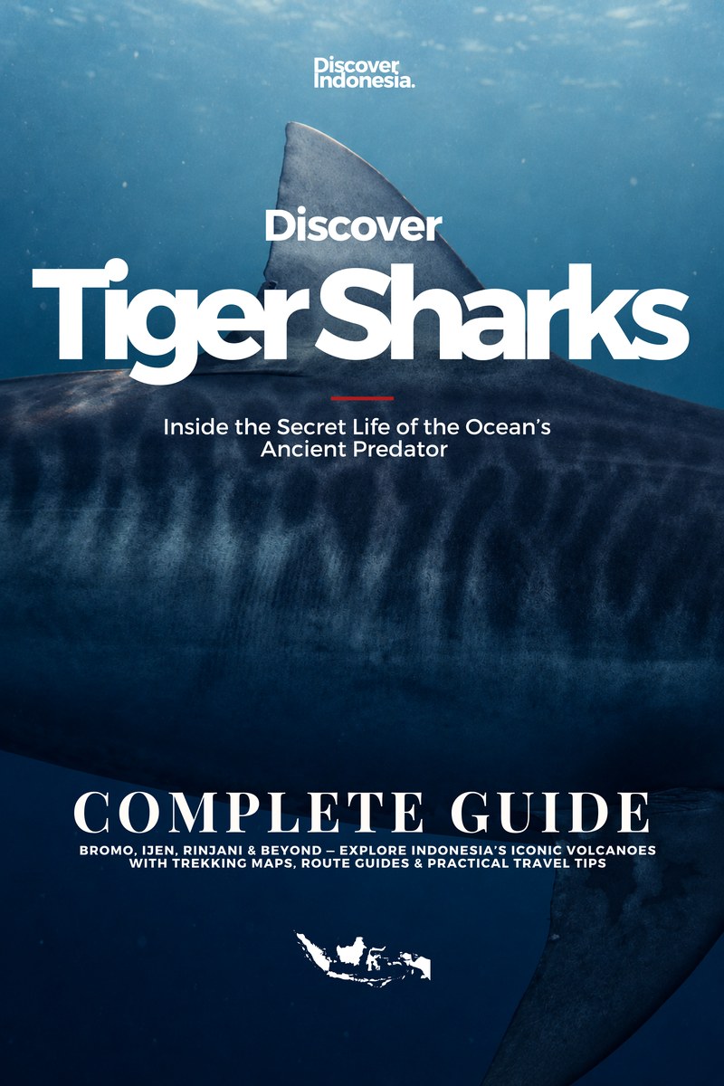 Discover Indonesia: Tiburones tigre, portada del libro