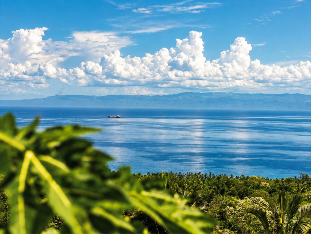 Calm blue sea off Sulawesi with a cargo ship, palm forest in the foreground and mountains on the horizon