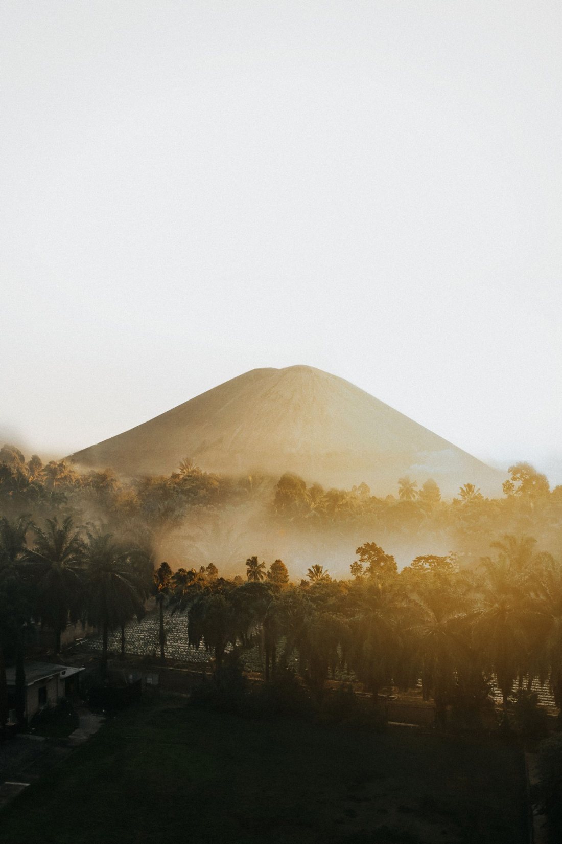 A volcano cone rising above misty palm forest at sunrise in Indonesia