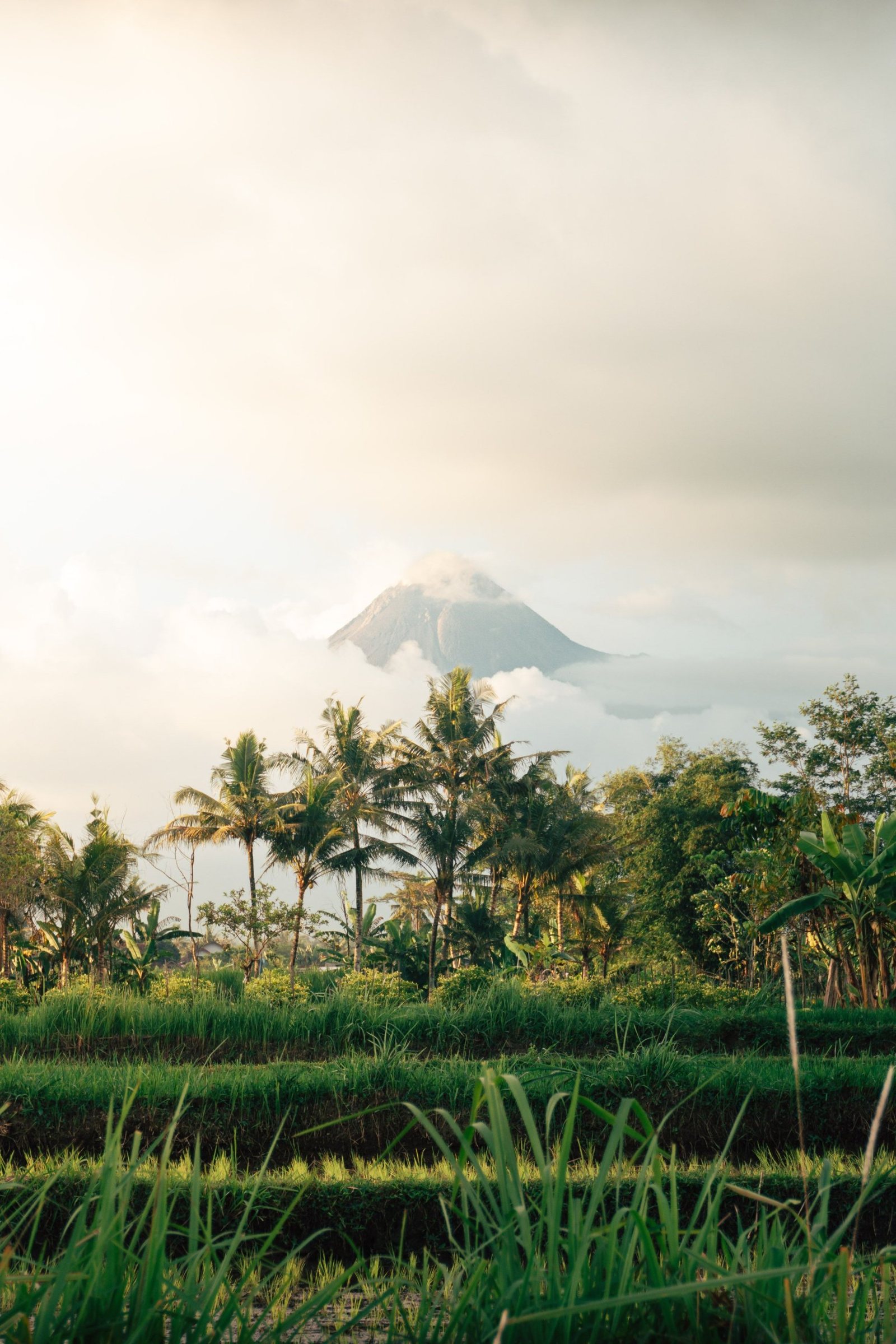 Mount Merapi